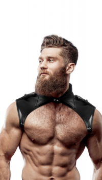 FETISH HARNESSES MEN'S BRIGADE ADJUSTABLE NECK HARNESS